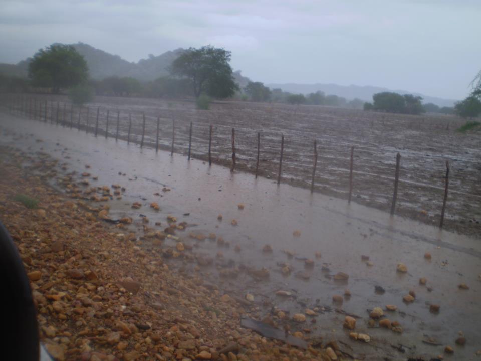 Resultado de imagem para fotos de chuva no sertão
