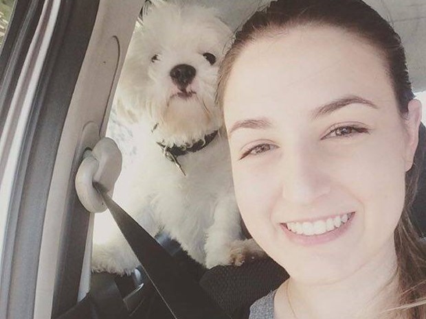 RTEmagicC_cachorro_morto_petshop1.jpg