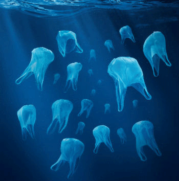 lqes_empauta_novidades_1674_macrolixo