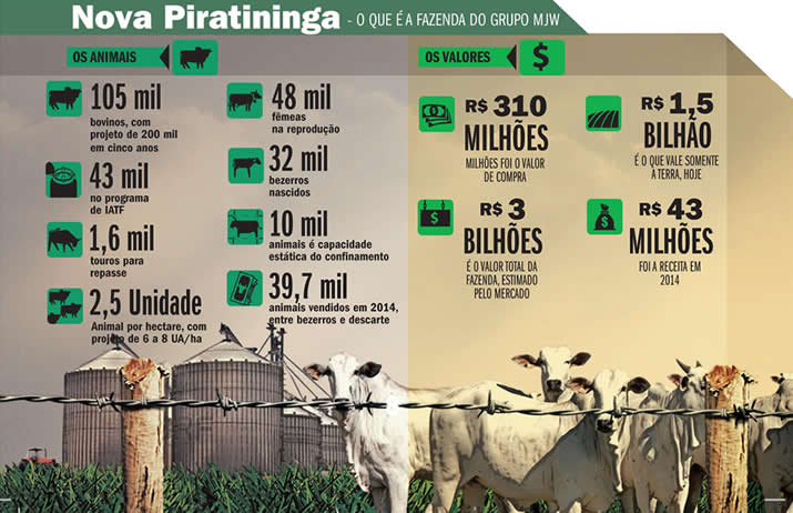nova-piratininga-grafico1