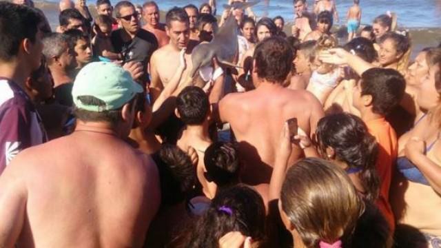 GolfinhoArgentinaPraia