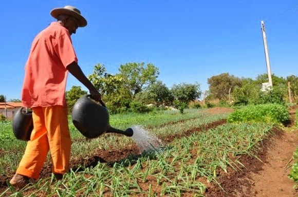 agricultura -580x385