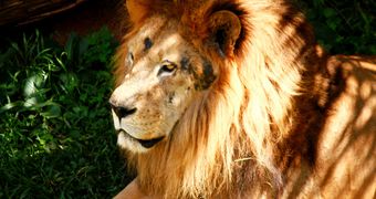 11952175944_265e4d00be_b_0