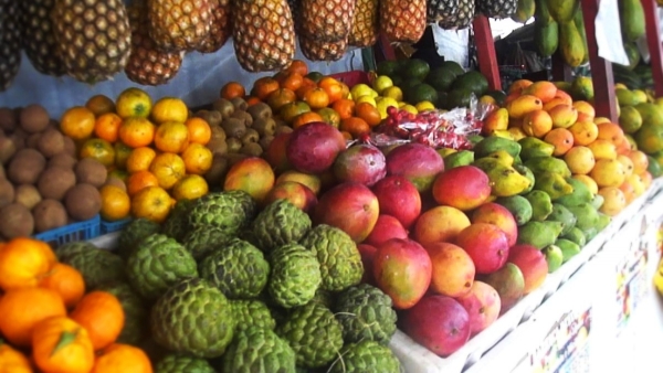 1feebd03da9f660dfb6e3f79b696f544_L