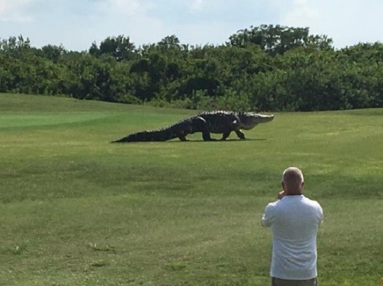 20160530103203W5USEi6dcZ