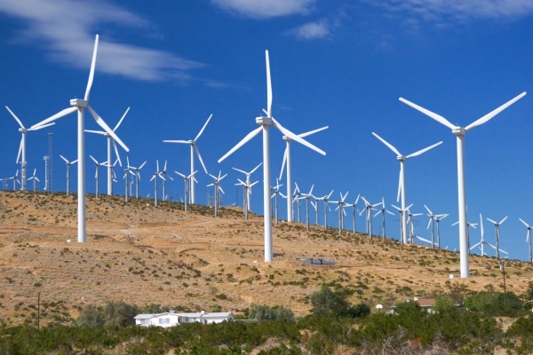 Energia eólica é uma alternativa que Alagoas pode apostar. Foto: Divulgação