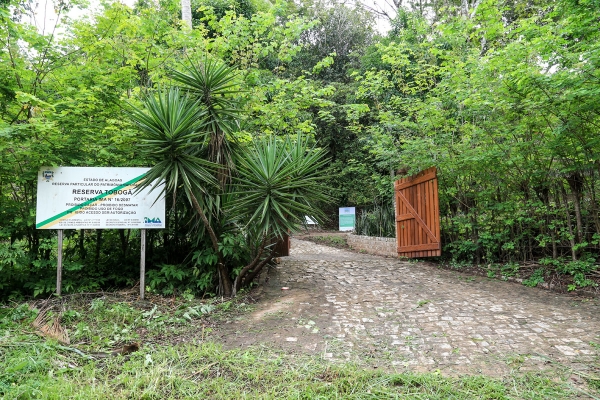 ima