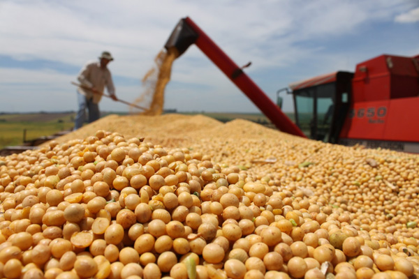 produtor-rural-Safras-Cifras