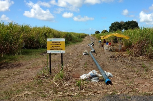 1d2179412af79e66bf0ec1005662f214_l