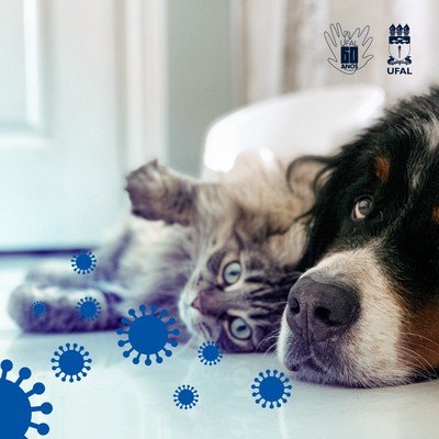 context/imageCaption