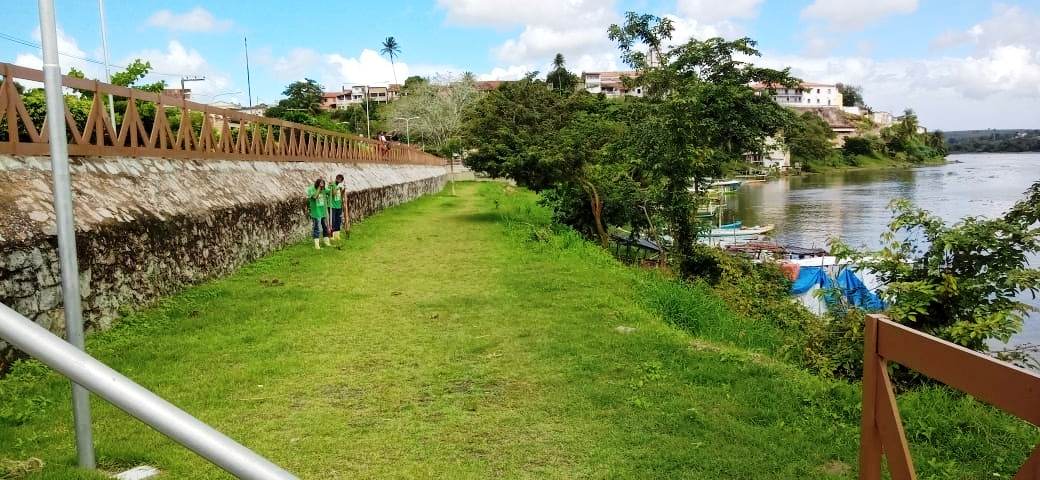 projeto-mais-verde-divulgação (1)
