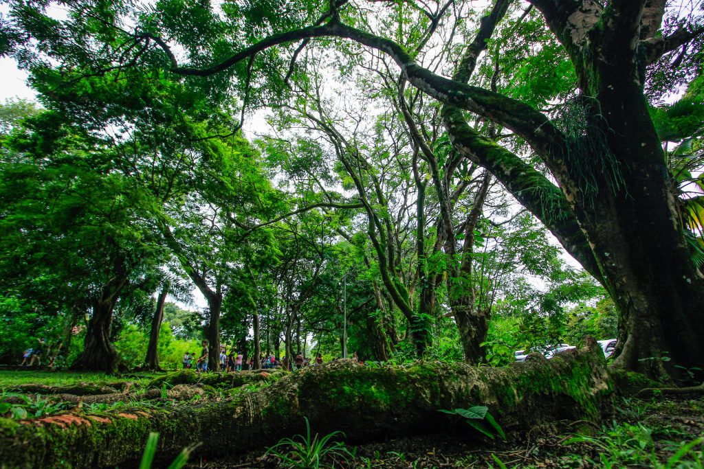 Parque do Horto recebe ações em alusão ao agosto lilás. Foto: Secom Maceió