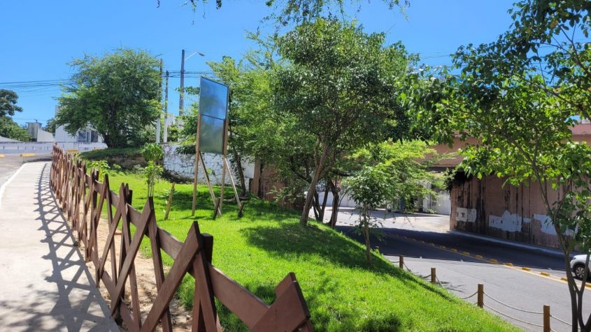 O órgão realizou o plantio de 15 mudas de árvores nativas, variando entre ipês roxos e rosas. Foto: Ascom Sudes
