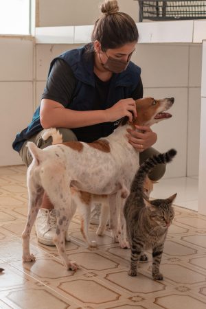 Coordenadora do GGI-CA, Marcella Soares, visitou animais da ONG Pata voluntária (Foto: Victor Vercant/Ascom SMS)