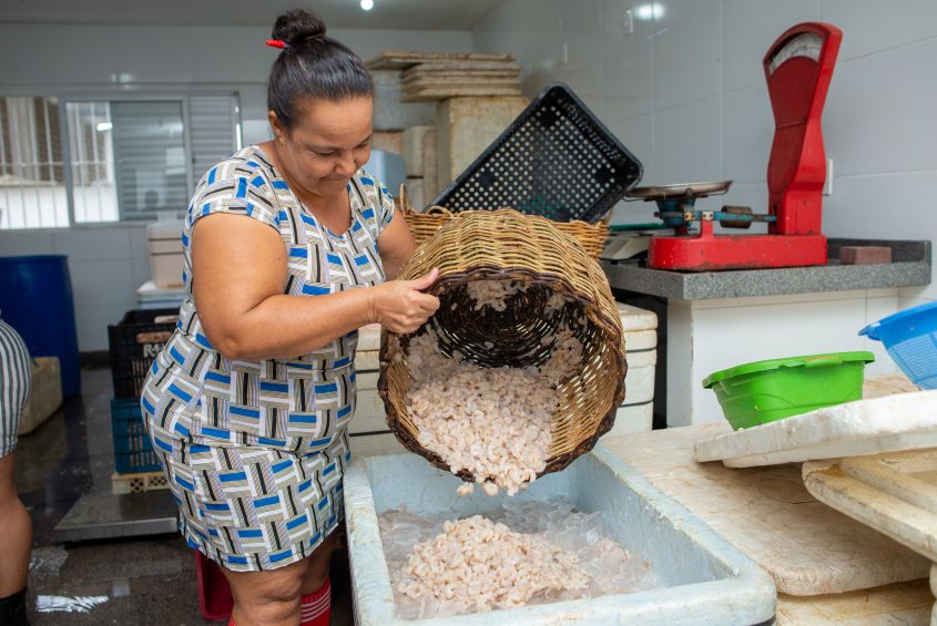 Foto: Juliete Santos/Secom Maceió