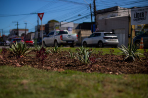 Foto: Alisson Frazão