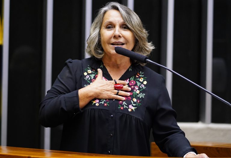 Deputada Erika Kokay discursa no Plenário da Câmara