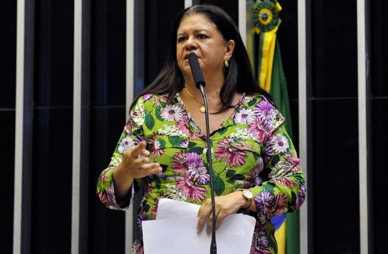 Ordem do dia para discussão e votação de diversos projetos. Dep. Laura Carneiro (S.PART. - RJ)