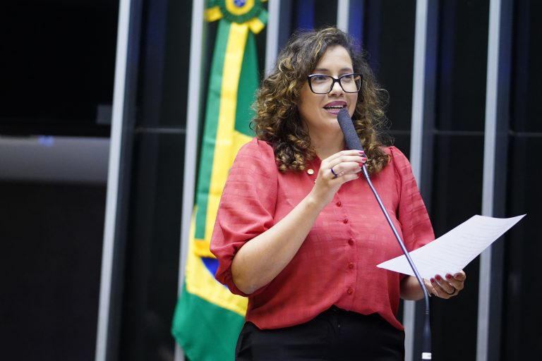 Sessão para a votação de propostas legislativas. Dep. Denise Pessôa(PT - RS)
