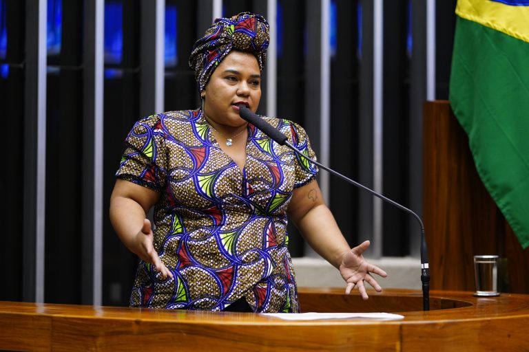 Sessão para votação de propostas legislativas. Dep. Dandara(PT - MG)