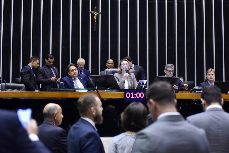 Sessão para a votação de propostas legislativas. Dep. Maria do Rosário(PT - RS)
