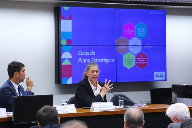 Planos de trabalho e programas do Ministério do Esporte - Comparecimento da Ministra do Esporte, Ana Moser e eleição do segundo-vice-presidente. Ministra do Esporte, Ana Moser.