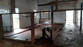 matadouro