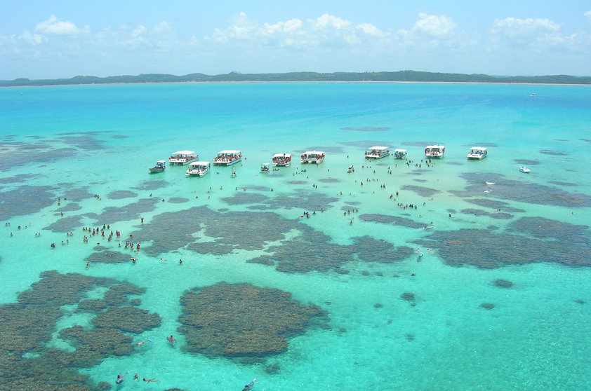 alagoas-maragogi-gales-foto-jannyne-barbosa