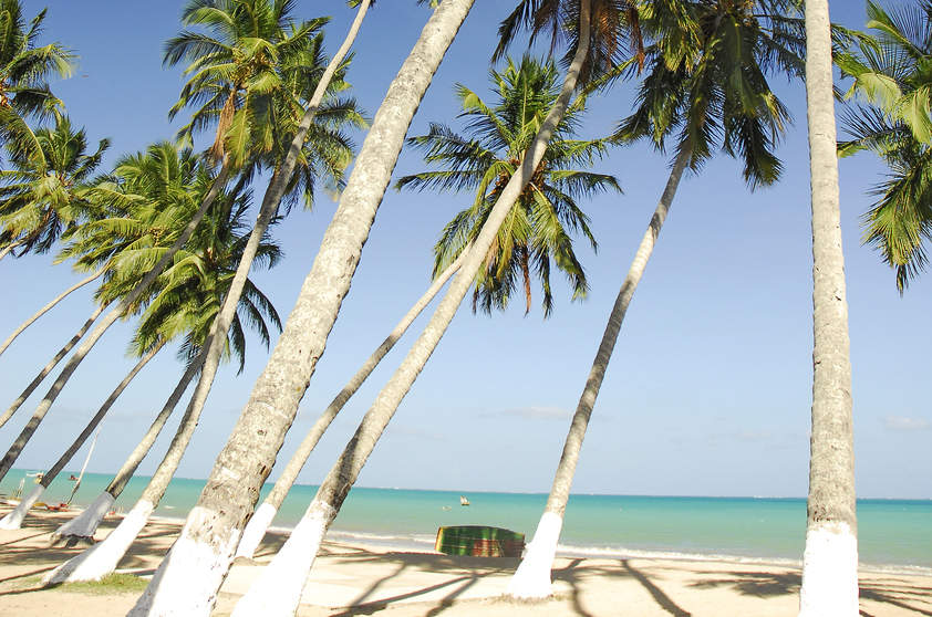 alagoas-praia-japaratinga