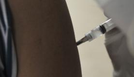 Testes da terceira e última etapa da vacina contra a dengue feitos pelo Instituto Butantan vão comprovar a eficácia do produto.