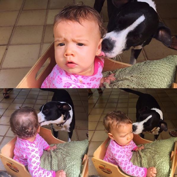 Liz e cachorro.