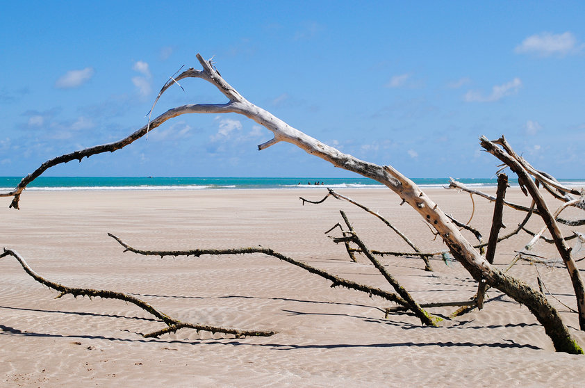 praia-de-paripueira-maceio-alagoas