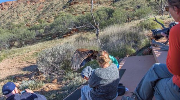 Administração do parque informou que garoto "sofreu apenas arranhões".