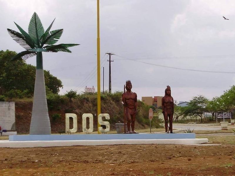 palmeiradosindios