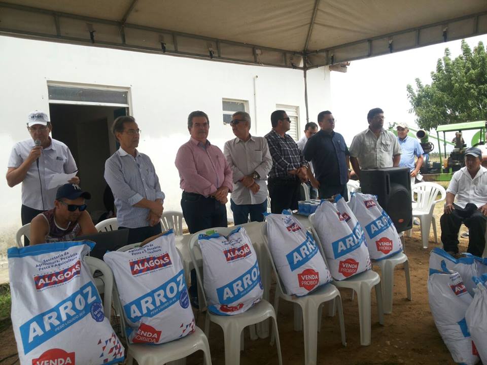 arroz alvaro vasconcelos
