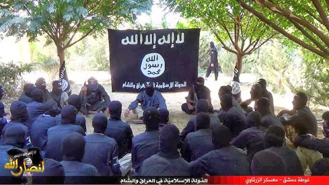 1469959_735355773145773_1940052414_n