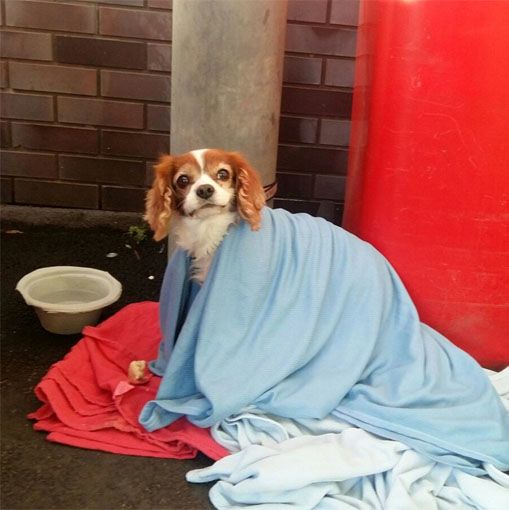 78ef6e71cdce8e13558adcc714c49a97