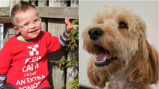 973f9e8fa9f3393b0633eb14560094f2