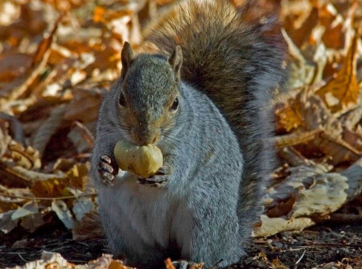 e5870763004f6a7680afa2ba00a5849a