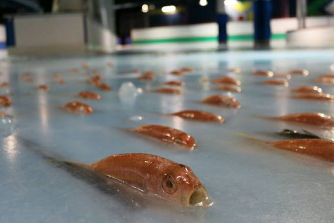 fukuoka-space-world-frozen-fish-ice-skating1