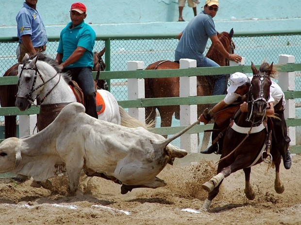 vaquejada-1