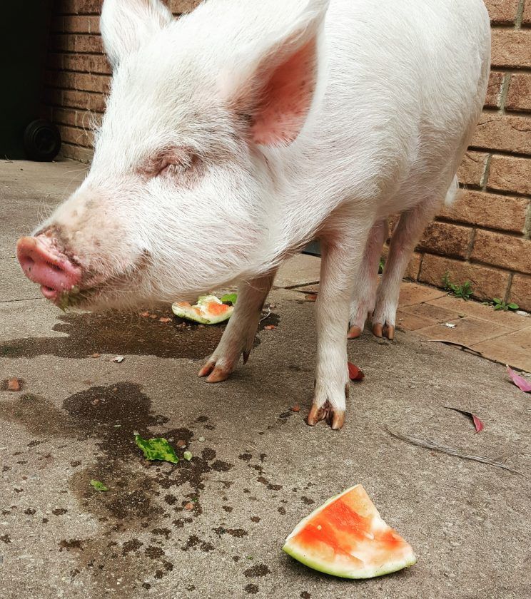 6877b403df7947fce852250102428158