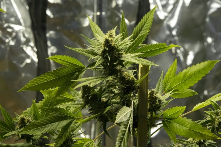 e90c1a10985e7c75d79f11c80490d3c6aad9cfed