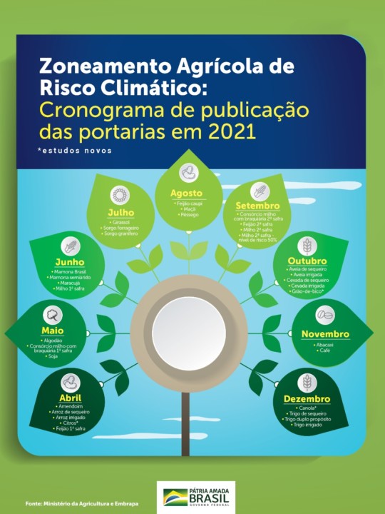 Infográfico Zarc