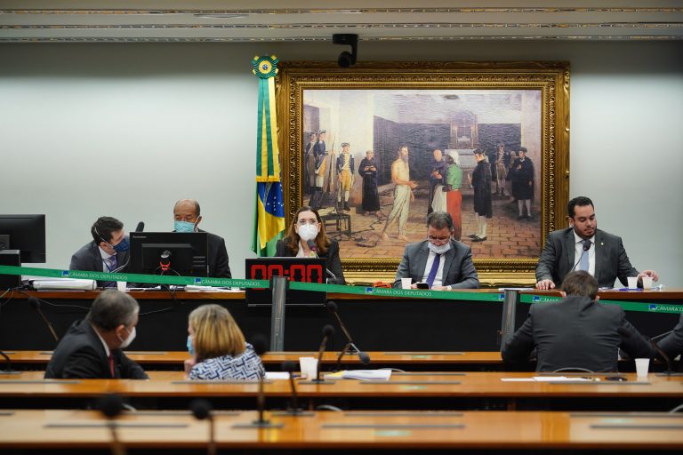 Reunião Deliberativa. Dep. Bia Kicis(PSL - DF)