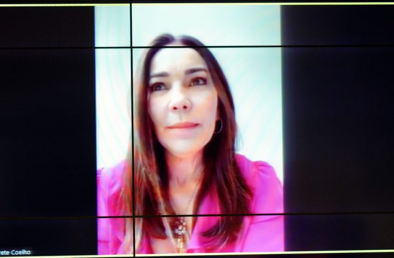 Reunião Extraordinária. Dep. Margarete Coelho(PP - PI)