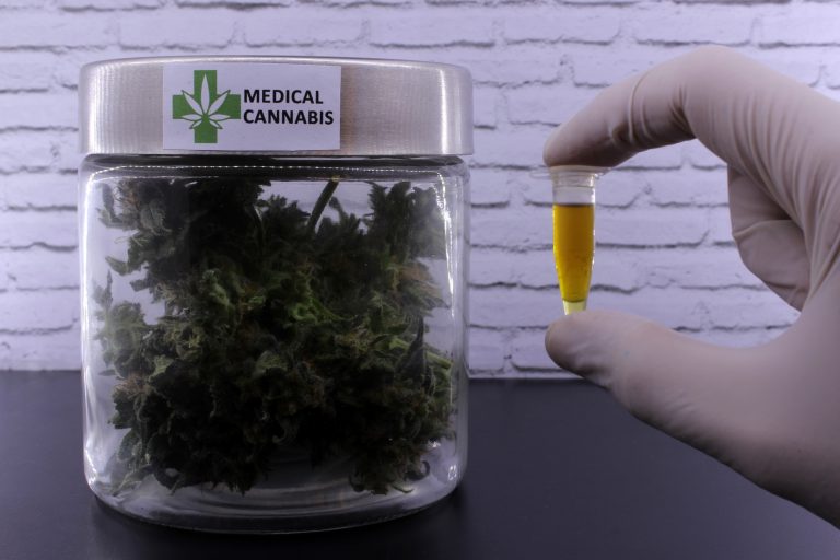 Saúde - remédios - maconha medicinal cannabis sativa