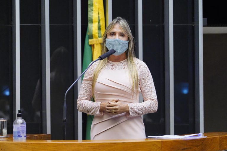 Discussão e votação de propostas. Dep. Celina Leão (PP - DF)