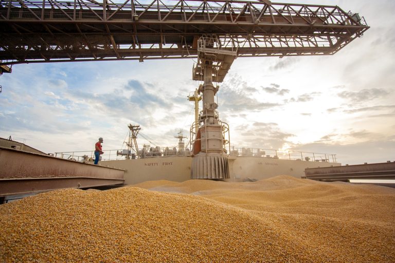 Agropecuária - geral - exportação milho produção agrícola safra balança comercial (porto de Paranaguá-PR)