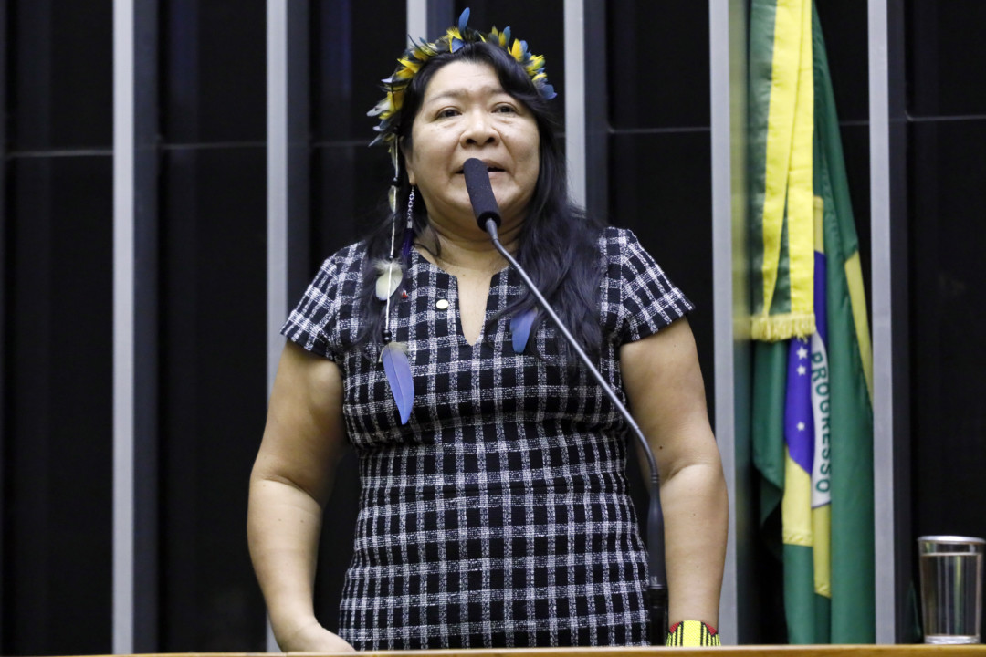 Sessão Solene em Homenagem ao Dia da Conquista do Voto Feminino. Dep. Joenia Wapichana (REDE - RR) Deputada Joenia Wapichana discursa no Plenário da Câmara
